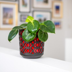 Plant Pots Aztek Black+Red
