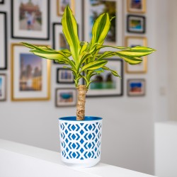 Plant Pots Aztek White+Navy Blue