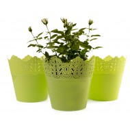 Set of 3 Plant Pots Indoor Crown Green