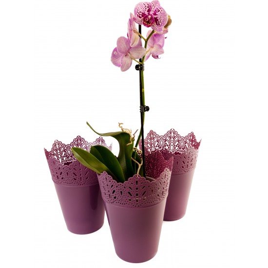 Set of 3 Plant Pots Indoor Crown Purple