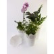 Set of 3 Plant Pots Indoor Crown White