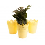 Set of 3 Plant Pots Indoor Crown Yellow