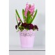 Set of 3 Plant Pots Indoor Crown Pink