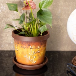 Plant Pots Indoor Outdoor Terracotta Branch