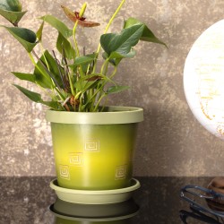 Plant Pots Indoor Outdoor Olive Greek