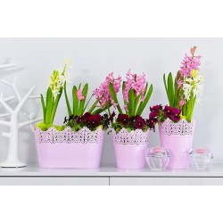 Flower Pots Oval CROWN-Pink