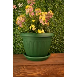 Plant Pots Saucers Round Green 