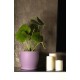 Plant Pots Indoor Aga Matte Purple