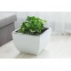 Muna Plant Pots Square white + concrete