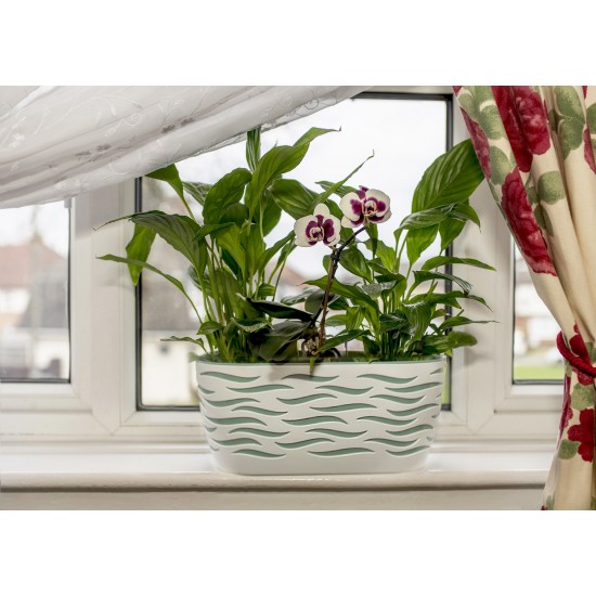 Plant Pots Indoor Duo Oval White+Green