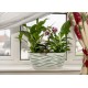 Plant Pots Indoor Duo Oval White+Green
