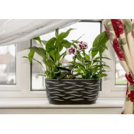 Plant Pots Indoor Duo Oval Anthracite+Grey