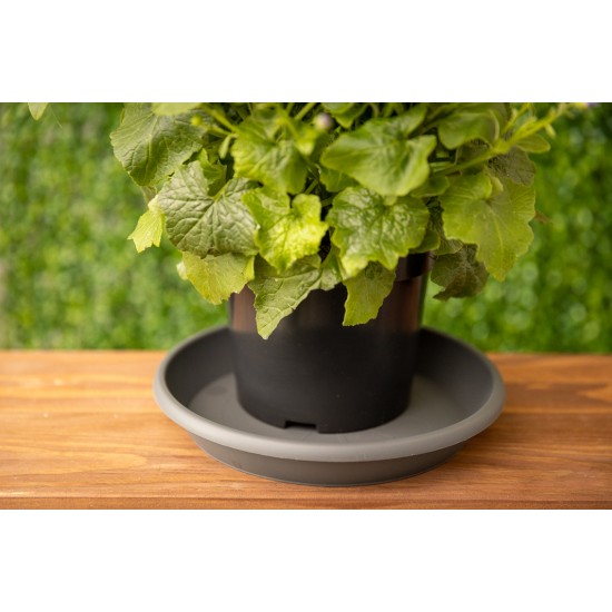 Plant Pots Saucers Grey Round